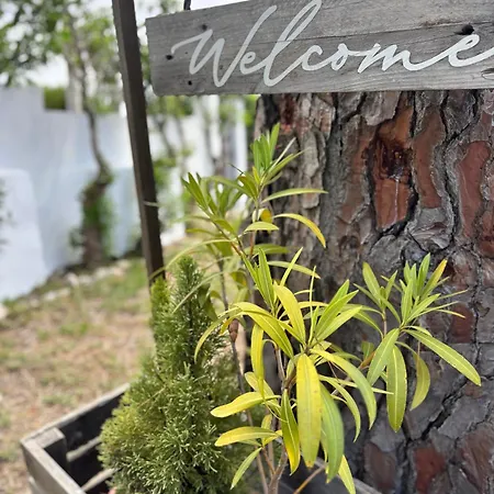 别墅 Namibe Na Quinta Da Balaia 阿尔布费拉