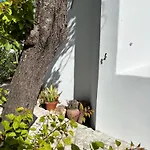 Namibe Na Quinta Da Balaia Vila