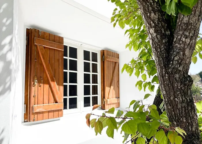 Namibe Na Quinta Da Balaia Albufeira