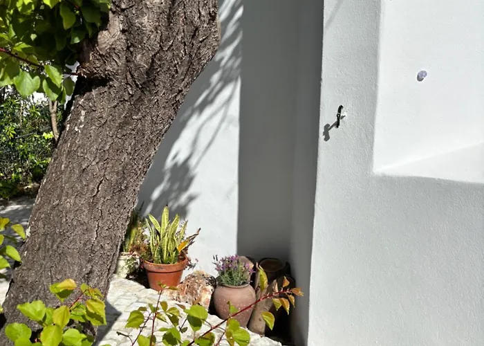 Namibe Na Quinta Da Balaia Villa